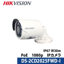 Video Surveillance Camera HIKVISION DS-2CD2025FWD-I Small