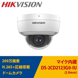 Video Surveillance Camera HIKVISION DS-2CD2123G0-IU Small