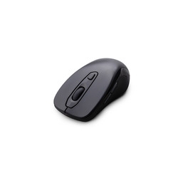 Mouse Iris Oyama IM-R03-B Small