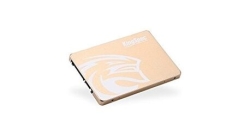 SSD KingSpec P3-512