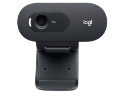 Web Camera Logicool HD Webcam C505e Small