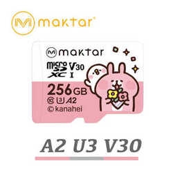 Maktar Kanahei MKMSD-A2-256G 256GB SD Card small