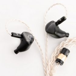 Noble Audio Noble Audio ONYX NOB-ONYX Earphone Headphone Small