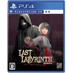 Playstation 4 Last Labyrinth Small