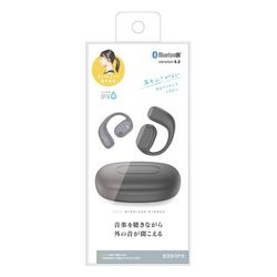 RASTABANANA Raster banana RTWS07BK Earphone Headphone Small