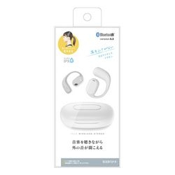 RASTABANANA Raster banana RTWS07WH Earphone Headphone Small