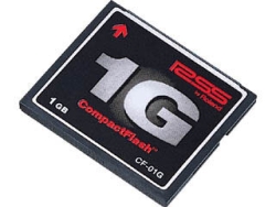 Compact Flash Roland CF-01G 1GB