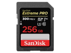 SANDISK SDSDXDK-256G-GN4IN 256GB SD Card small