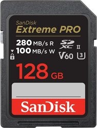 SANDISK SDSDXEP-128G-GN4IN 128GB Card Small
