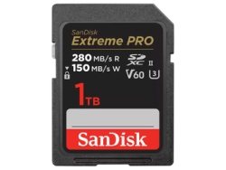 SANDISK SDSDXEP-1T00-GN4IN 1TB Card Small