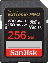 SANDISK SDSDXEP-256G-GN4IN 256GB Card Small