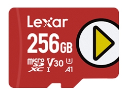 SD Card Lexar LMSPLAY256G-BNNNG 256GB