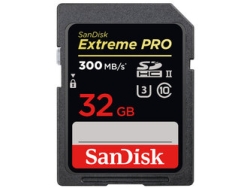 SD Card SANDISK SDSDXPK-032G-JNJIP 32GB