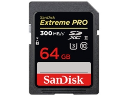 SD Card SANDISK SDSDXPK-064G-JNJIP 64GB