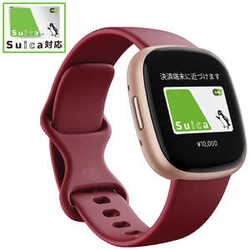 Smart Watch Fitbit Fitbit Versa 4 Beet Juice/Copper Rose Aluminum Electronic Goods Wearable Devices Small