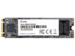 SSD J&A Information LEVEN JM600M2-2280256GB