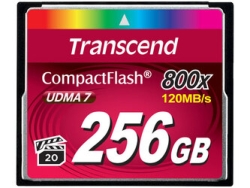 Compact Flash Transcend TS256GCF800 256GB