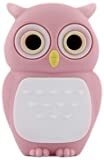 USB Flash Drive CUT&PASTE Owl Driver DR10021-4P 4GB pink