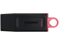 USB Flash Drive Kingston DataTraveler Exodia DTX/256GB 256GB