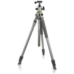 Camera Tripod & Monopod VANGUARD Alta Pro 2+ 263AB100 gray Small