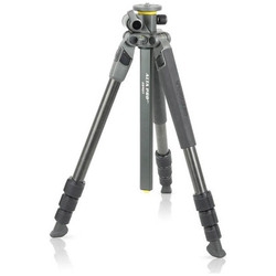 Camera Tripod & Monopod VANGUARD Alta Pro 2+ 264CT gray Small