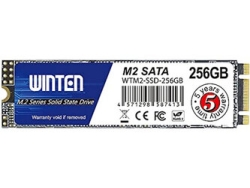 WINTEN WTM2-SSD-256GB SSD small