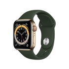 Apple Watch Series 6 GPS+Cellular Model 40mm M06V3J/A Gold Stainless Steel Case/Cyprus Green Sport Band Smart Watch Japanese version