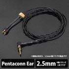 Brise Audio Dedicated Terminal 1.2m ASUHA-LE ASHLELB425PE 2.5mm (4 poles) ⇔  Earphone Cable Japanese version