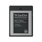 SANDISK SDPCVN4-256G-JNANN 256GB CFexpress Memory Card Japanese version