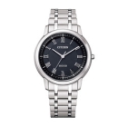 CITIZEN Exceed Eco-Drive AR4000-63E Watch Japanese version