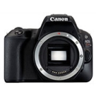 CANON EOS Kiss X9 body DSLR Camera Japanese version