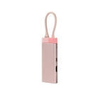 EGRET EH23-5C-P Metallic Pink USB Hub Japanese version