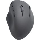 ELECOM M-SH10BBSKBK black Mouse Japanese version