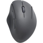 ELECOM M-SH20BBSKBK black Mouse Japanese version