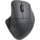 ELECOM M-SH30BBSKBK black Mouse Japanese version