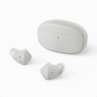 final ZE2000 FI-ZE2DPLTW-ASH-GRAY ASH GRAY Earphone Headphone Japanese version