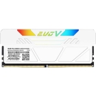 GeIL GESW532GB6000C38ADC DDR5 PC5-48000 16GB x 2 Memory Japanese version