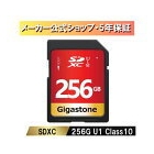 Gigastone GJSXR-256GU1-RED 256GB Card Japanese version