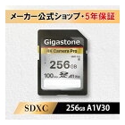 Gigastone GJSXR4K-256GV3A1 256GB Card Japanese version