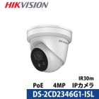 HIKVISION DS-2CD2346G1-I/SL Video Surveillance Camera Japanese version