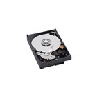 WESTERN DIGITAL WD5000AAKS (500G SATA300 7200) Internal Hard Drive 3.5 inch Japanese version