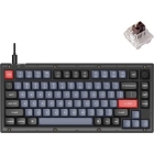 Keychron V1-C3-US tea axis floss Ted black Keyboard Japanese version