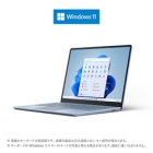 Microsoft Surface Laptop Go 2 8QC-00043 ice blue Notebook Japanese version