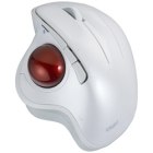 Nakabayashi Digio2 MUS-TBIF182W White Mouse Japanese version