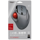 Nakabayashi Digio2 MUS-TRIF175GY gray Mouse Japanese version