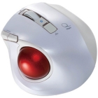 Nakabayashi Digio2 Q MUS-TBLF134W white Mouse Japanese version