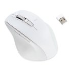 Nakabayashi Digio2 Ultra-fast series MUS-RKF164NW N White Mouse Japanese version