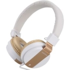 OHM ELECTRIC AudioComm HP-H100Z-N gold Earphone Headphone Japanese version