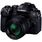 Panasonic LUMIX DC-G99DH Standard Zoom Lens Kit Mirrorless Camera Japanese version