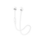 Preseed Japan AVIOT WE-D01b-SL silver Earphone Headphone Japanese version